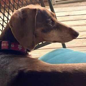 Meet your Posher, Marion